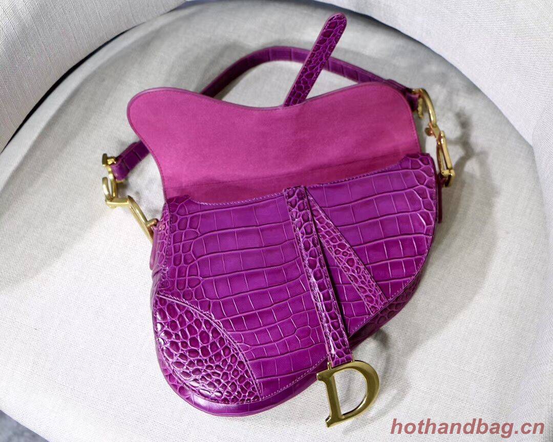 Dior SADDLE SOFT CALFSKIN BAG C9045 purple Dior SADDLE SOFT CALFSKIN BAG C9045 purple