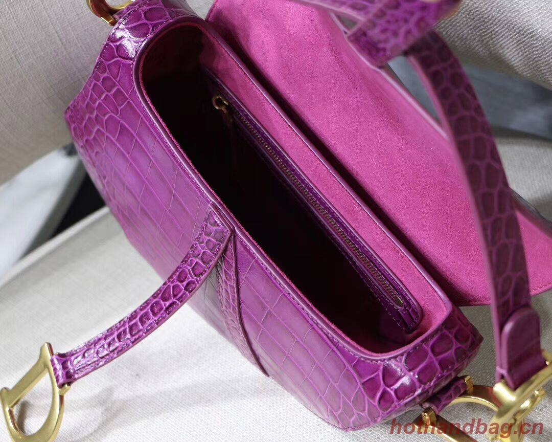 Dior SADDLE SOFT CALFSKIN BAG C9045 purple Dior SADDLE SOFT CALFSKIN BAG C9045 purple