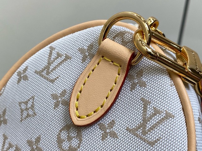 Louis Vuitton Speedy Bandouliere 20 M12747