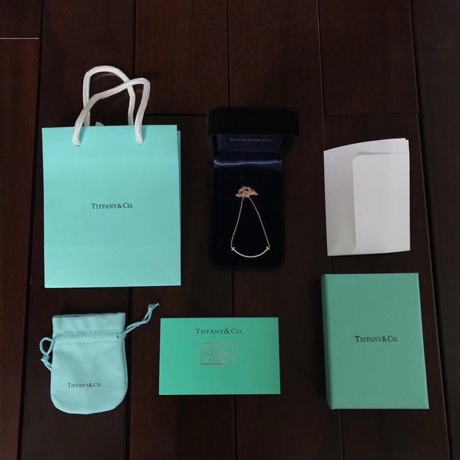 TIFFANY necklace CE16320