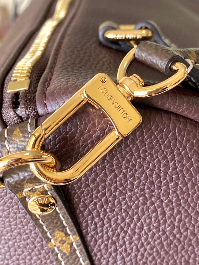 Louis Vuitton Side Trunk GM M13668 burgundy