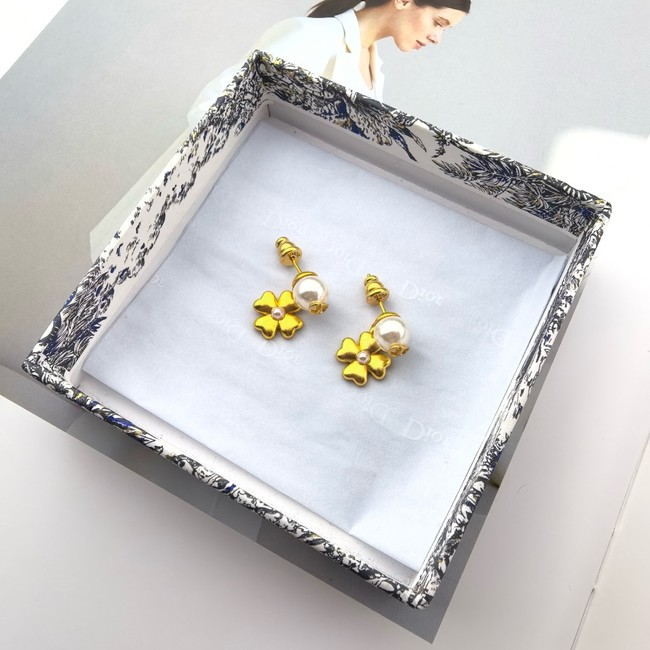 Dior Earring CE16728