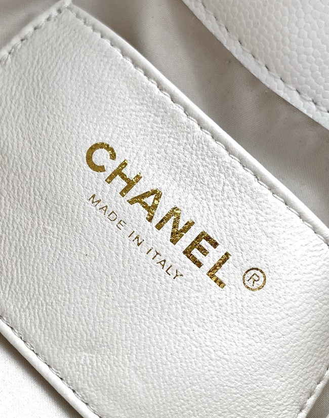 CHANEL 25 MINI HANDBAG AS5631 white