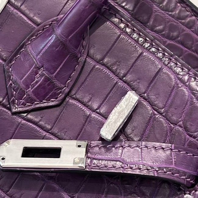 Hermes Birkin Nile crocodile leather 7765-1
