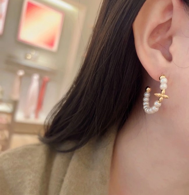 Louis Vuitton Earring CE16968