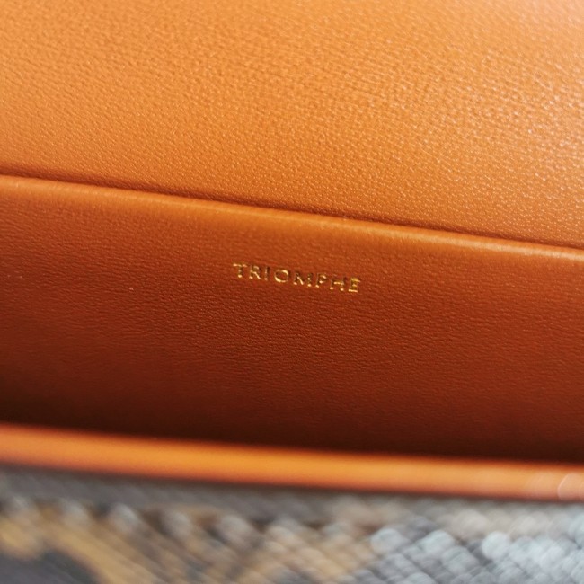 Celine CHAIN SHOULDER BAG TRIOMPHE IN SHINY CALFSKIN 197992 CARMIN