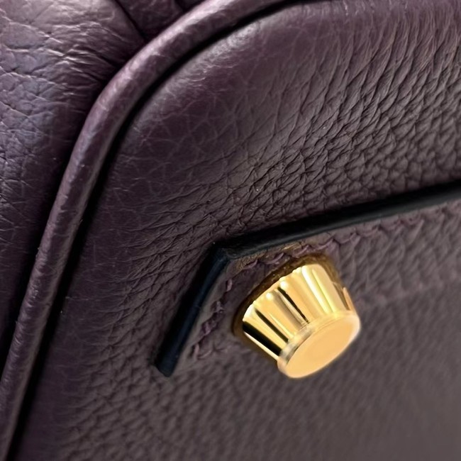 Hermes Birkin Bag Leather togo 5569 Chocolate