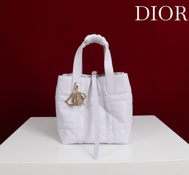 Small Dior Toujours Vertical Tote Bag M2835OSNW white