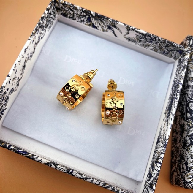 Dior Earring CE80999