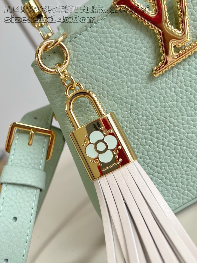 Louis Vuitton Capucines Mini M25497 green