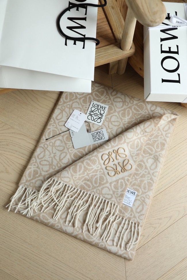 Loewe Cashmere Scarf 06383