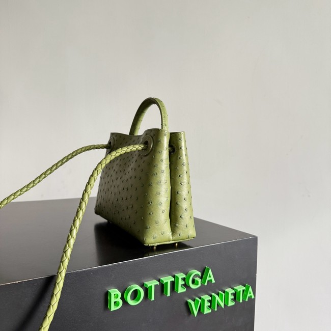 Bottega Veneta Mini Andiamo Sapele 805232 green