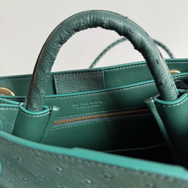 Bottega Veneta Small Andiamo 805231 Jungle