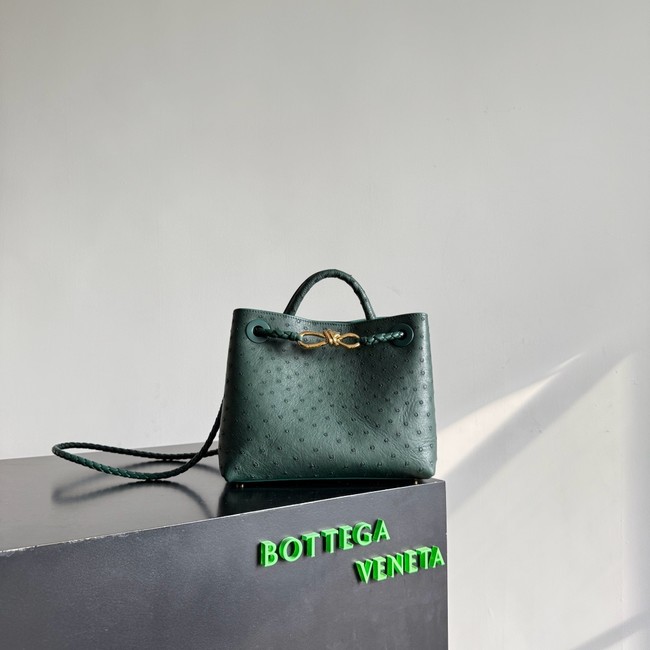Bottega Veneta Small Andiamo 805231 Jungle