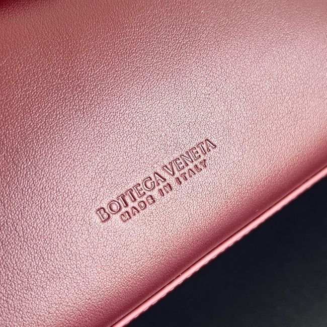 Bottega Veneta Small Andiamo 11590 CINNABAR
