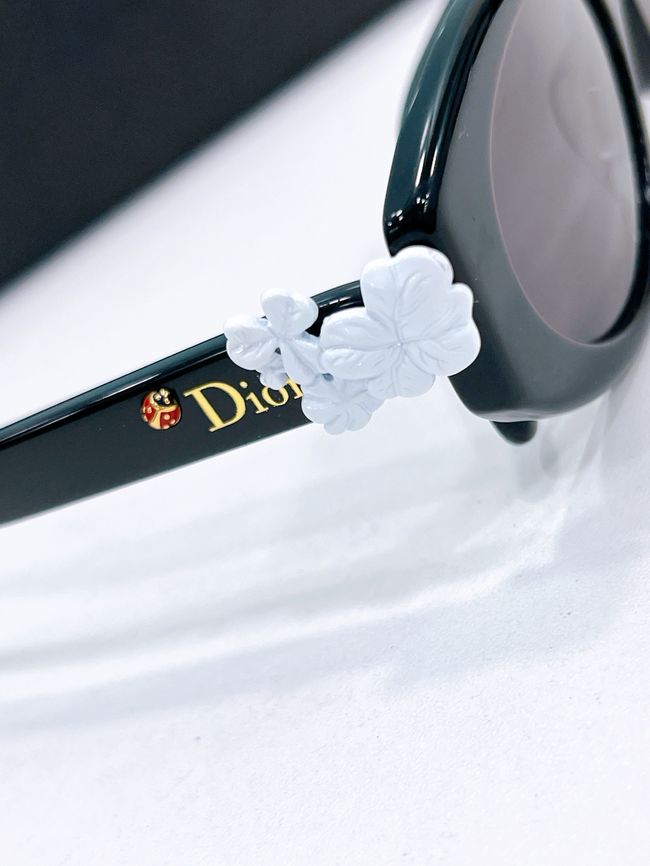 Dior Sunglasses 821537-9
