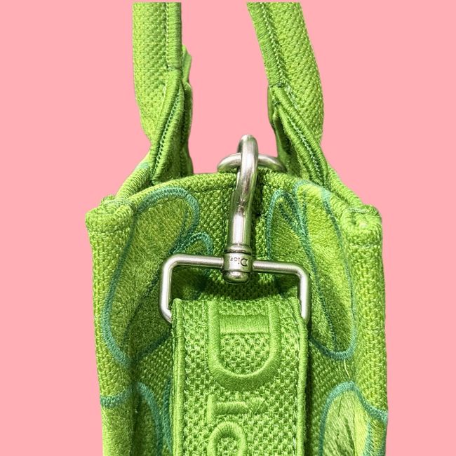 Small Dior Book Tote with Strap Embroidered M1404OE-13