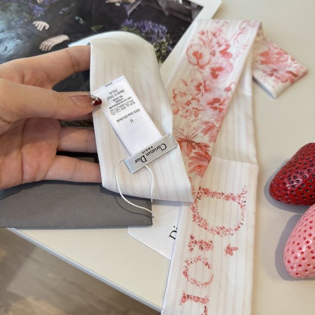 Dior Printed silk twill ribbon KY211-2