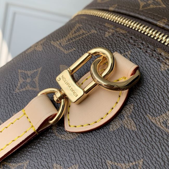 Louis Vuitton Nice Vanity M44935