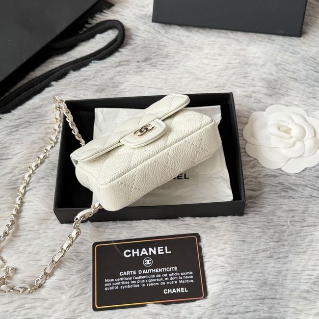 Chanel Wallet on Chain AP2401 Beige