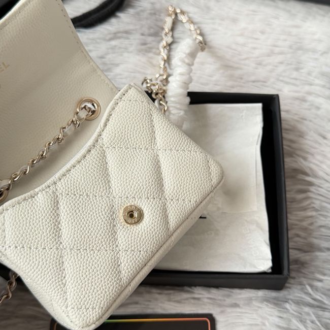 Chanel Wallet on Chain AP2401 Beige