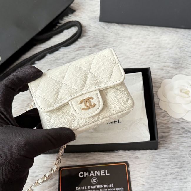 Chanel Wallet on Chain AP2401 Beige