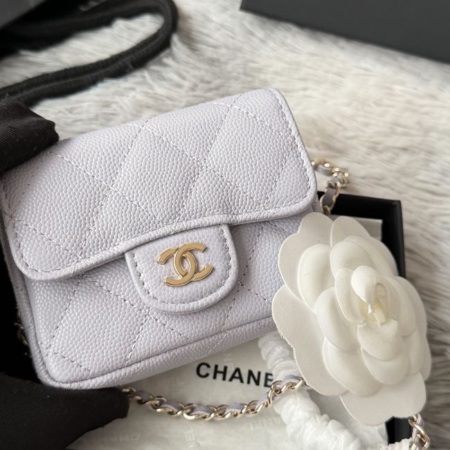 Chanel Wallet on Chain AP2401 light gray